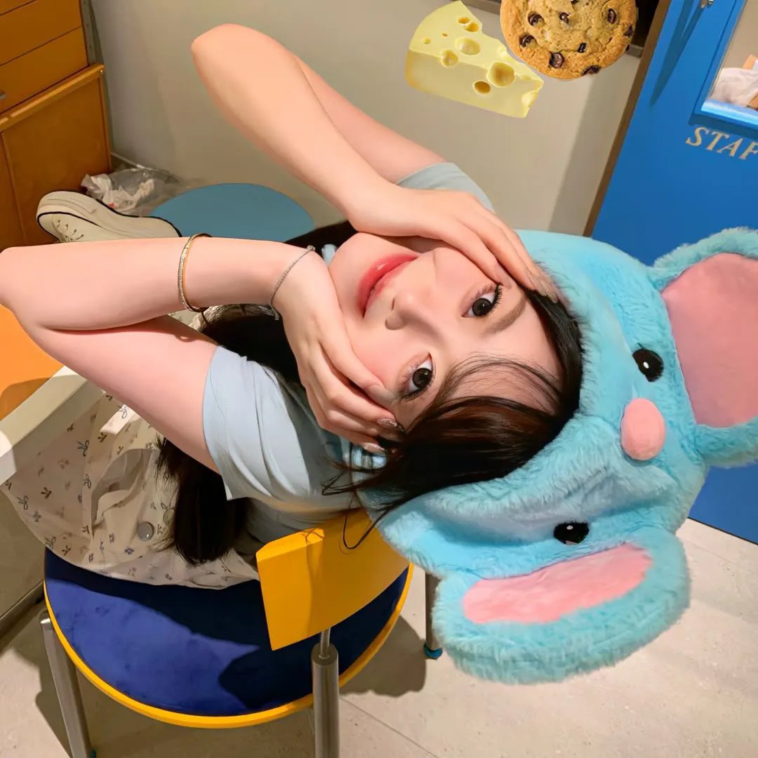 我的英雄学院第六季